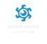 Gausse Holler Custom Lab